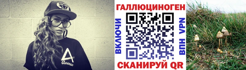 KRAKEN зеркало  Жирновск  Псилоцибиновые грибы прущие грибы 